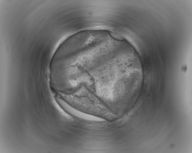 X0000090621476200708141402