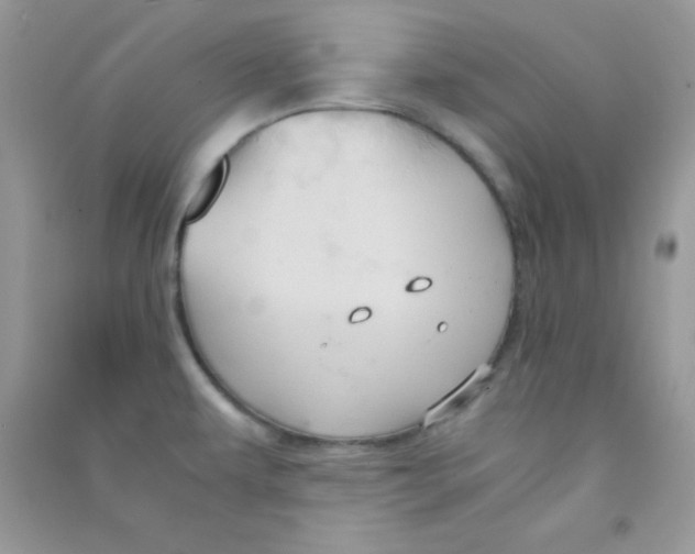 X0000090621479200708141402