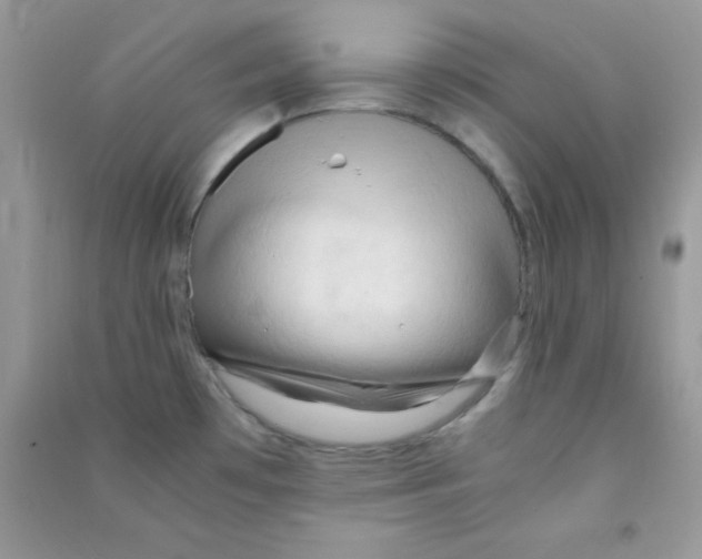 X0000090621481200708141402