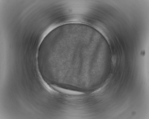 X0000090621482200708141402