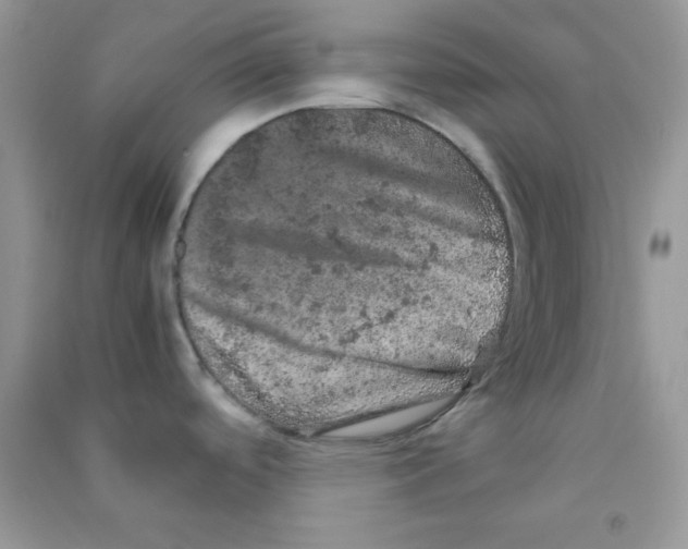 X0000090621488200708141402