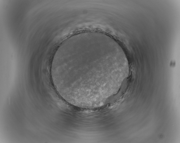 X0000090621489200708141401