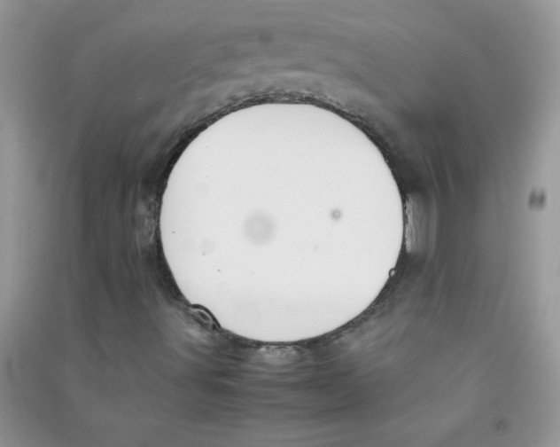 X0000090621491200708141401