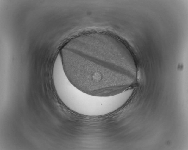 X0000090621492200708141401