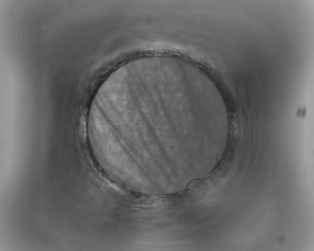 X0000090621493200708141401