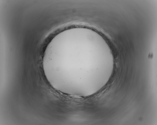 X0000090621495200708141401