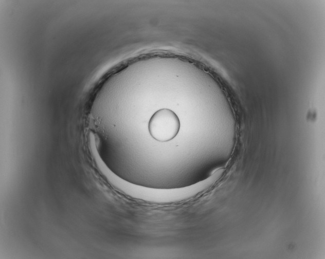 X0000090621496200708141401