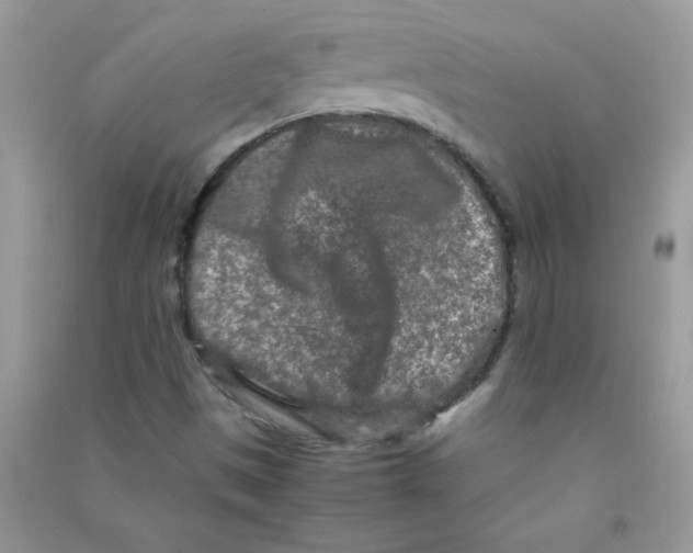 X0000090621497200708141401