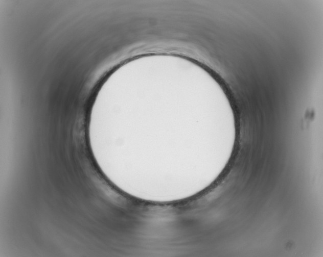 X0000090621498200708141401