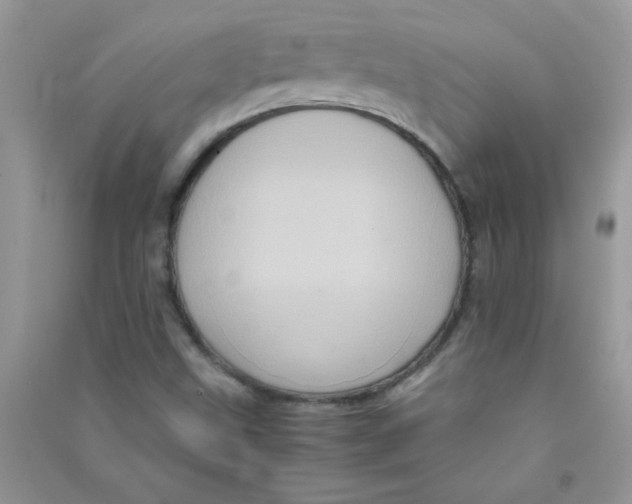 X0000090621499200708141401