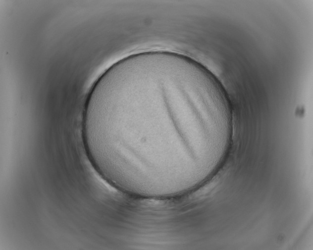 X0000090621500200708141401