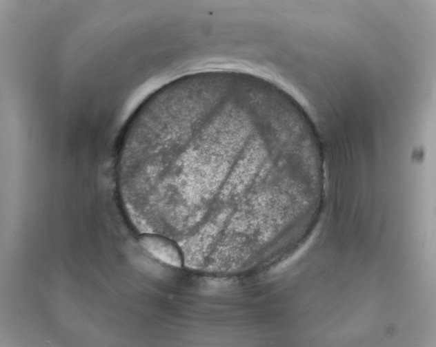 X0000090621501200708141401