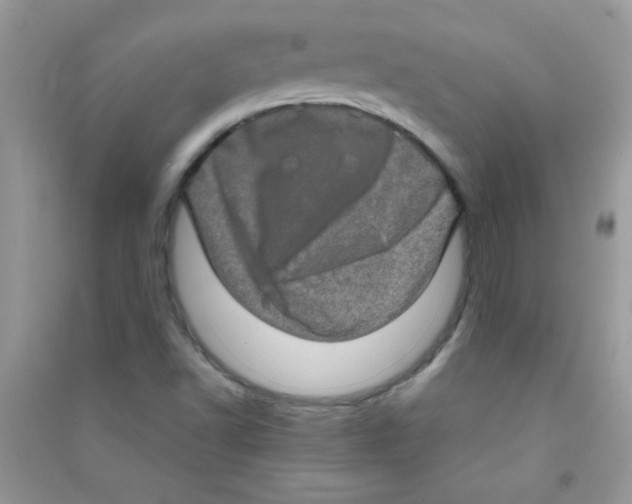 X0000090621502200708141401