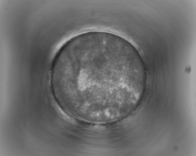 X0000090621503200708141401