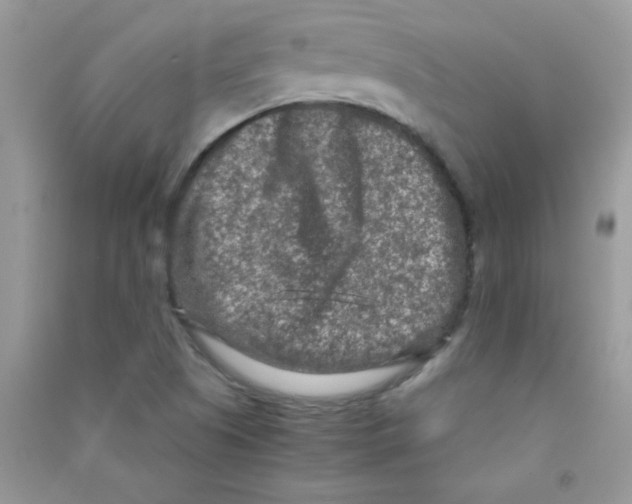 X0000090621505200708141401