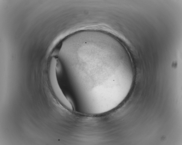 X0000090621506200708141401