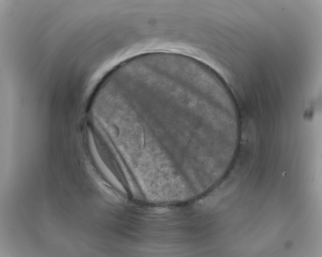 X0000090621507200708141401