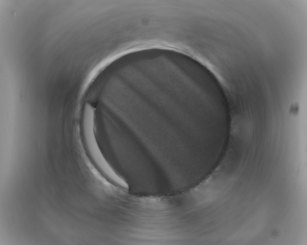 X0000090621508200708141401