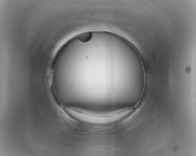 X0000090621510200708141401