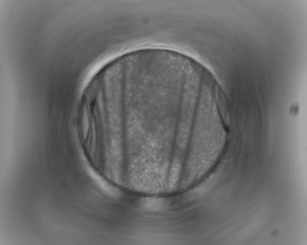 X0000090621511200708141401