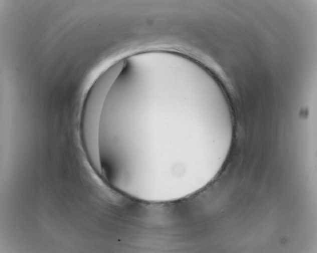 X0000090621512200708141401