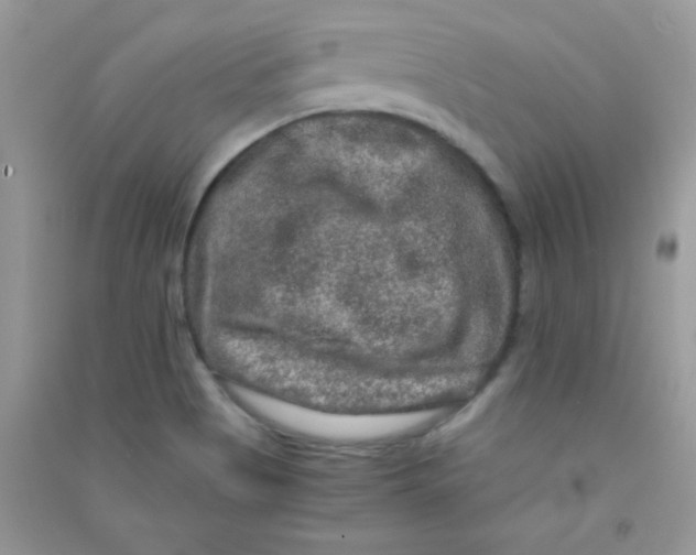 X0000090621513200708141401