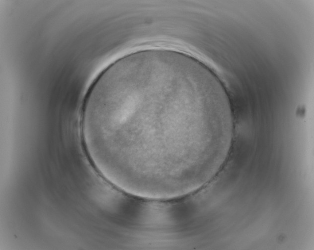 X0000090621514200708141401