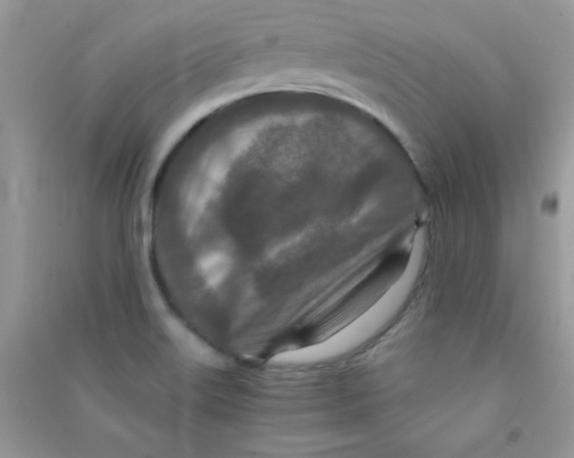 X0000090621515200708141401