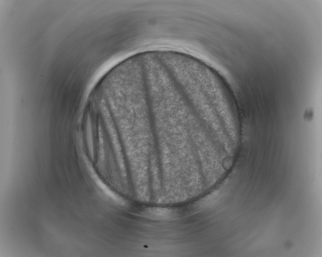 X0000090621517200708141401