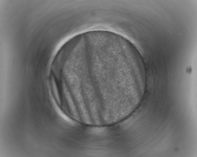 X0000090621519200708141402