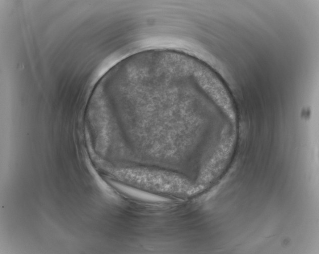 X0000090621521200708141402