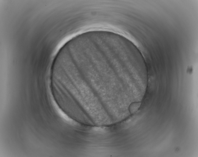 X0000090621523200708141402