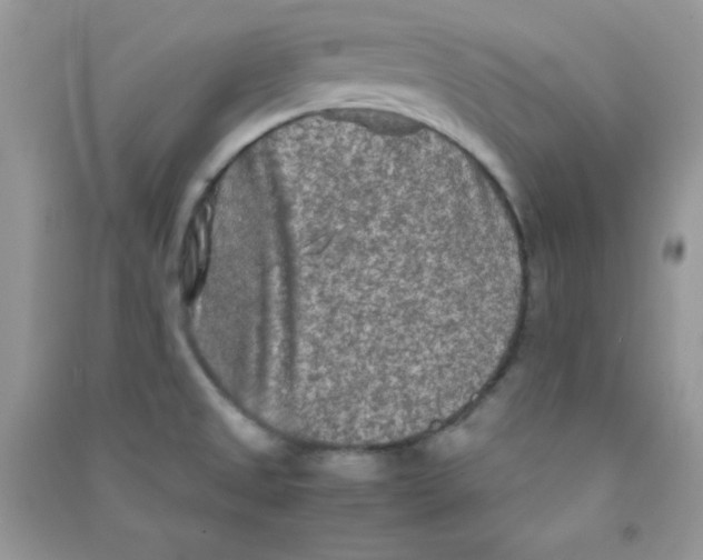 X0000090621525200708141402