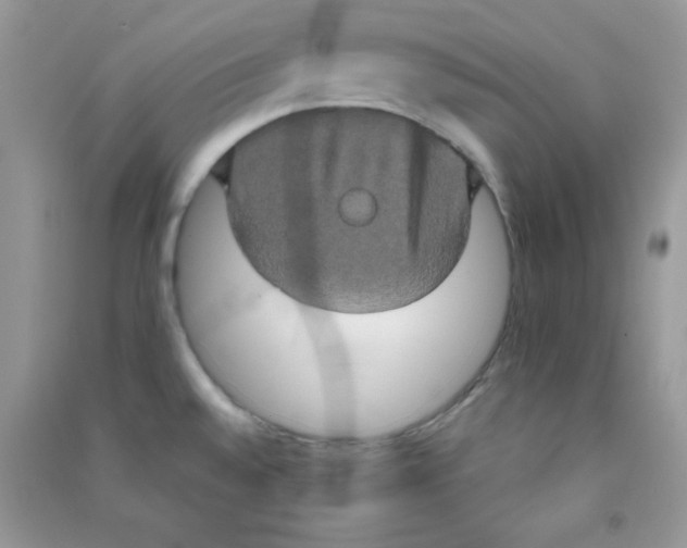 X0000090621528200708141402