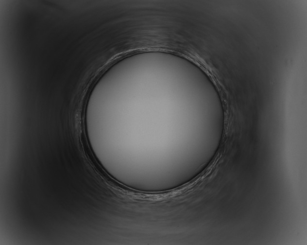 X0000090630002200707171143
