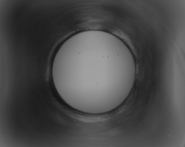 X0000090630012200707171143