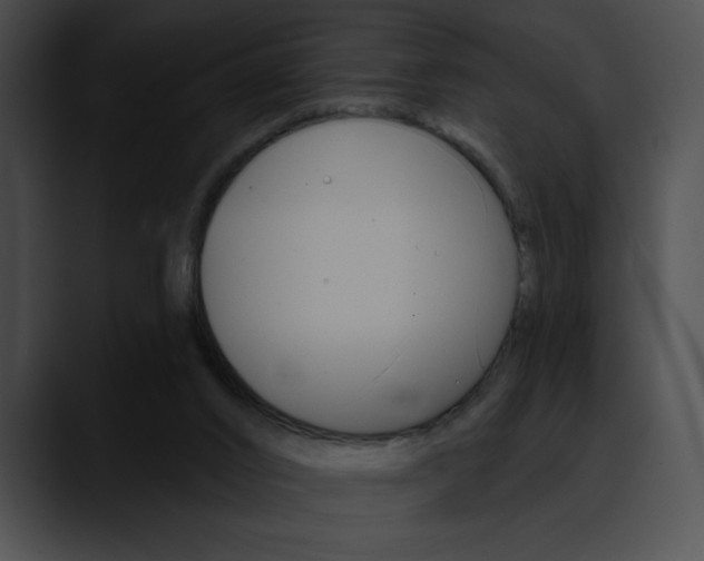 X0000090630016200707171143