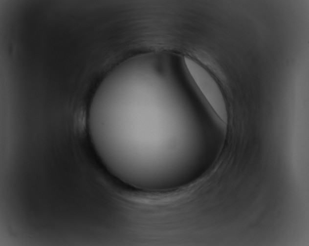 X0000090630021200707171143