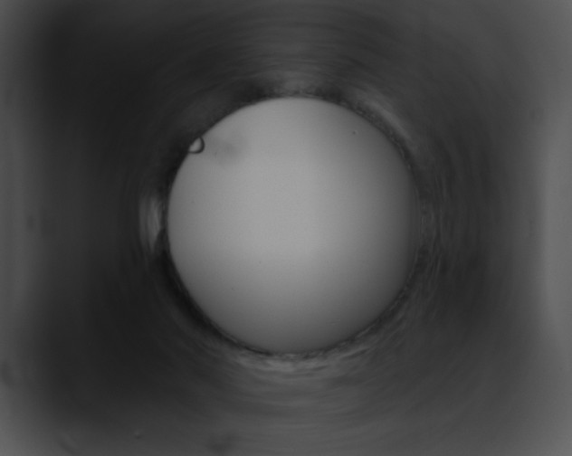 X0000090630022200707171143