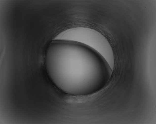 X0000090630033200707171143