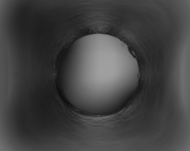 X0000090630040200707171143