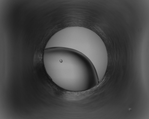 X0000090630045200707171143