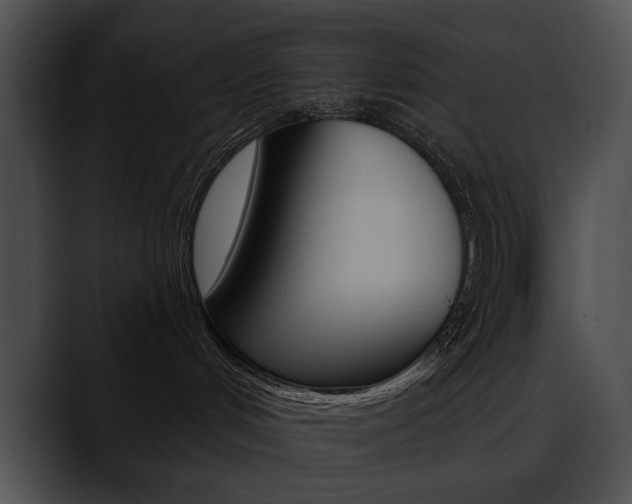 X0000090630048200707171143