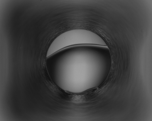 X0000090630096200707171143