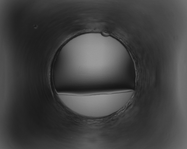 X0000090630100200707171142
