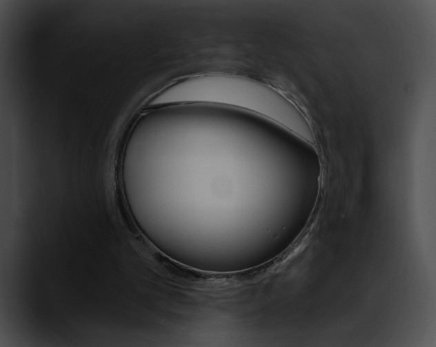X0000090630101200707171142