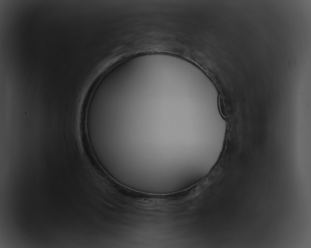 X0000090630104200707171142