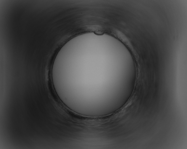 X0000090630106200707171142