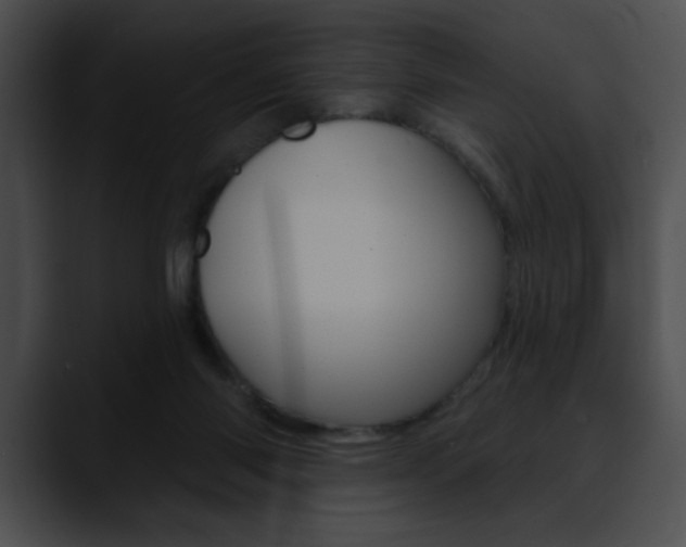 X0000090630118200707171142