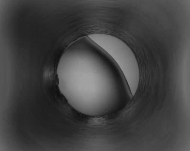 X0000090630137200707171142